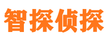 钟祥市私家侦探